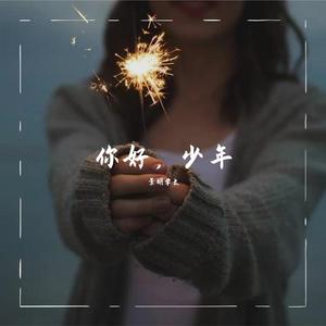 年少的你(Live)（翻自 钟易轩）