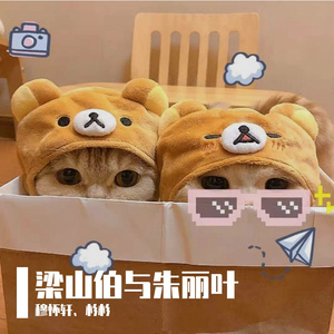 梁山伯与朱丽叶