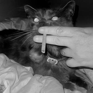 J'v0us d3t3st3 t0us