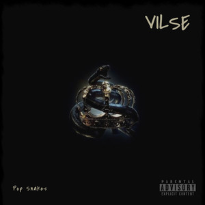 Vilse