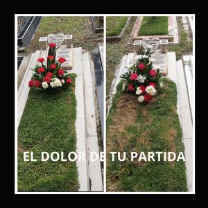 EL DOLOR DE TU PARTIDA