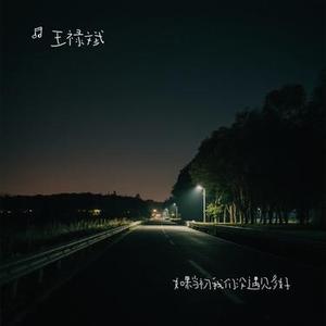 如果当初我们没遇见多好 (Cover 苏音音)