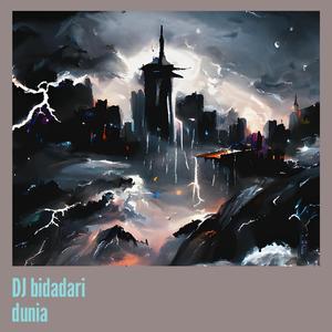 Dj Bidadari Dunia
