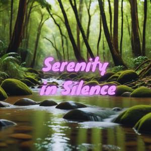 Serenity in Silence