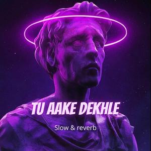 Tu aake dekhle (lofi)