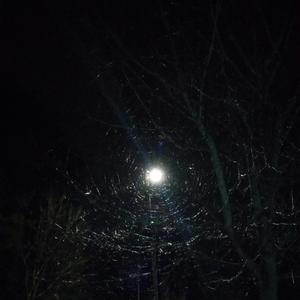 Weird Elevator (What Company)