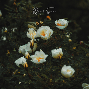 Quiet Space (Instrumental)