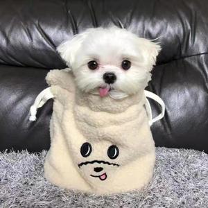 以雷霆击碎黑暗