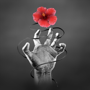 Any Way The Wind Blows (2025 Remix)