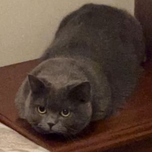 回到从前-MISTERK (B9 COVER)