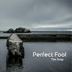 Perfect Fool