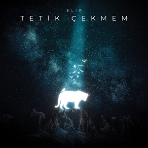 Tetik Çekmem