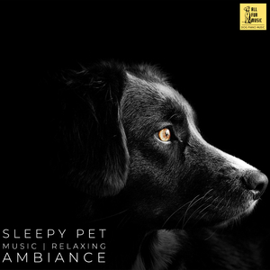 Relaxing Background Music For Dogs
