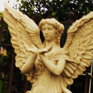 Aknowlagement Of Evil (Special Version)