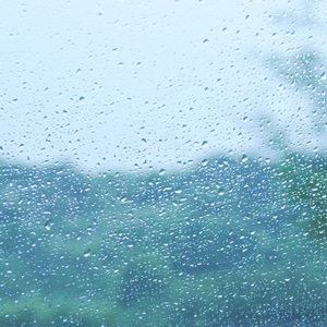 夏雨