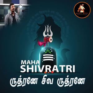 ருத்ரனே சிவ ருத்ரனே!