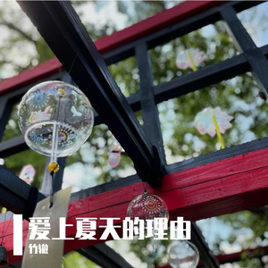 爱上夏天的理由