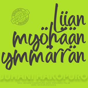 Liian myöhään ymmärrän