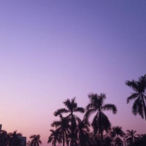 我想牵着你的手.张妤奇