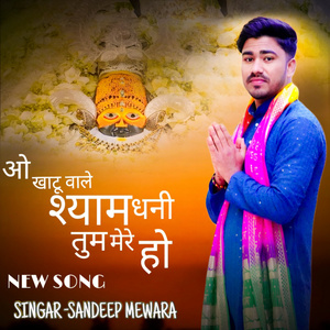 ओ खाटू वाले श्याम धणी तुम मेरे हो