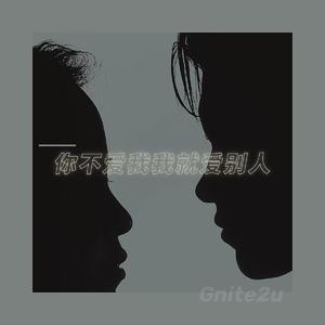 U Don't Luv Me,I Won't Luv U(你不爱我我就爱别人)（翻自 peace hotel）