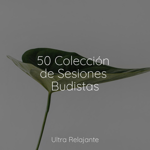 Un Paseo Por La Playa