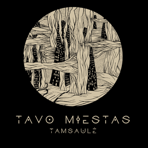Tavo Miestas (Stakelė Remix)