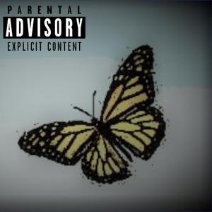 Πεταλούδες