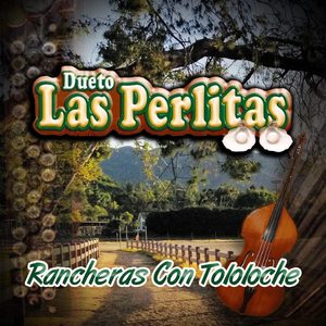 La Joven de los Ojos Negros (Tololoche)