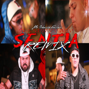 Sentia (Remix)