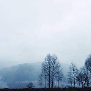 愿人间盛世太平，你也可以把我忘记