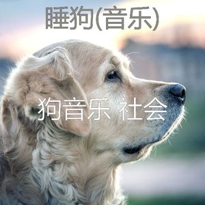 背景音乐-狗