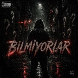Bilmiyorlar
