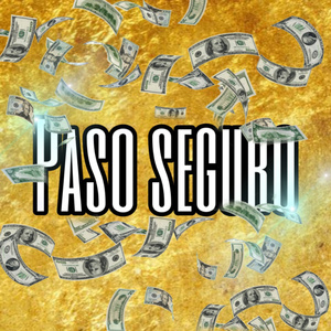 Paso Seguro
