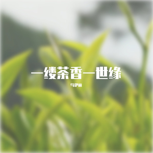 一缕茶香一世缘 伴奏