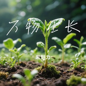 万物生长
