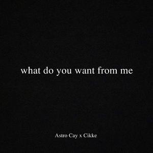 What do you want from me