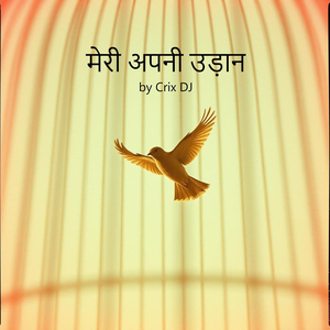 मेरी अपनी उड़ान