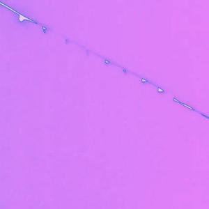 Berry juice(Prod. Kcgotthebeats)