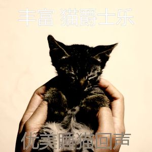 有趣睡猫情怀