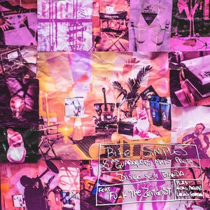 O Mea Culpa do Observador de Passaros Iniciante