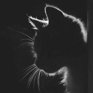 三两句  (羽球人 Remix)