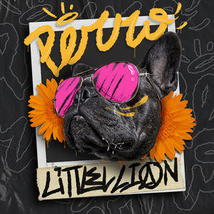 Perro