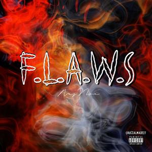 F.L.A.W.S (Flawed Cover)