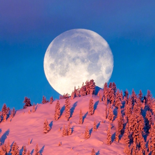 “一”到夜晚就失眠