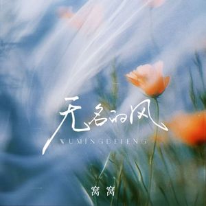 无名的风