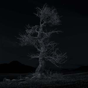 태양을 기다린다