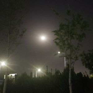 幻听