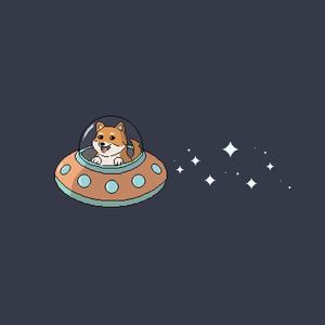 space shiba