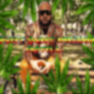 Sweet Sweet Marijuana